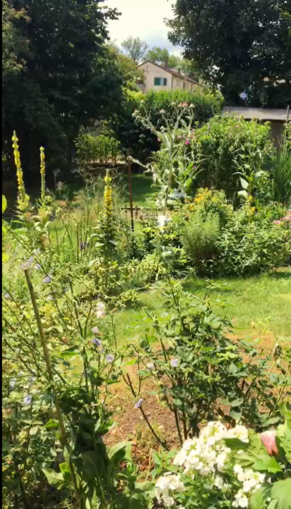 Bild Der Garten von EJ. 10