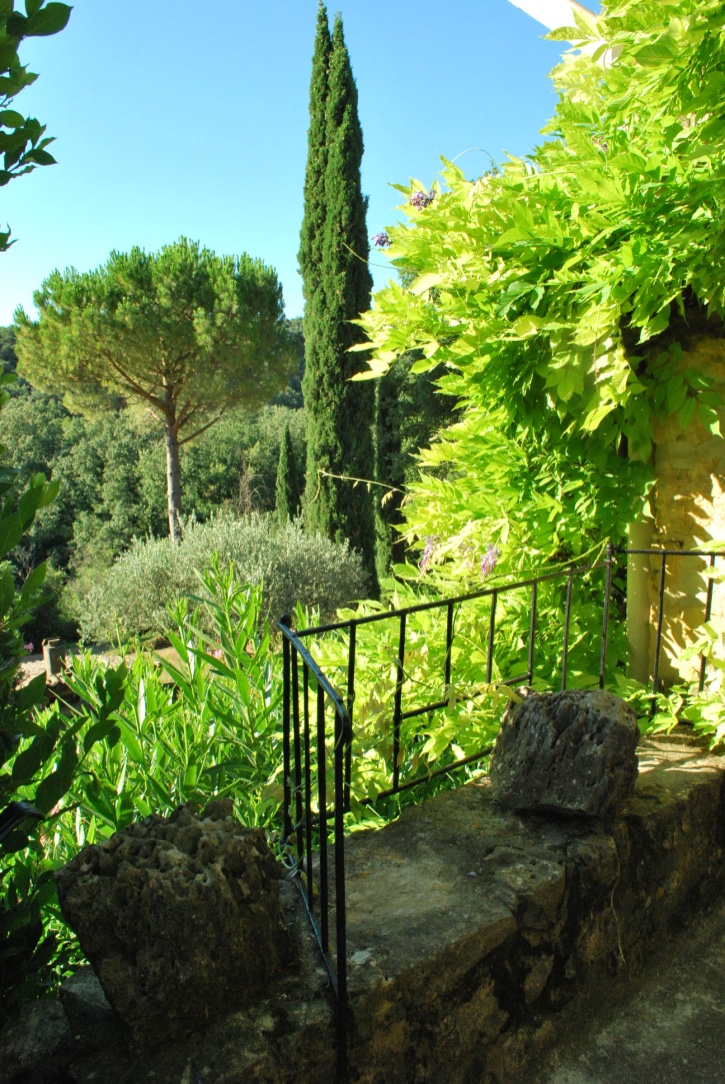 Bild Provence 2